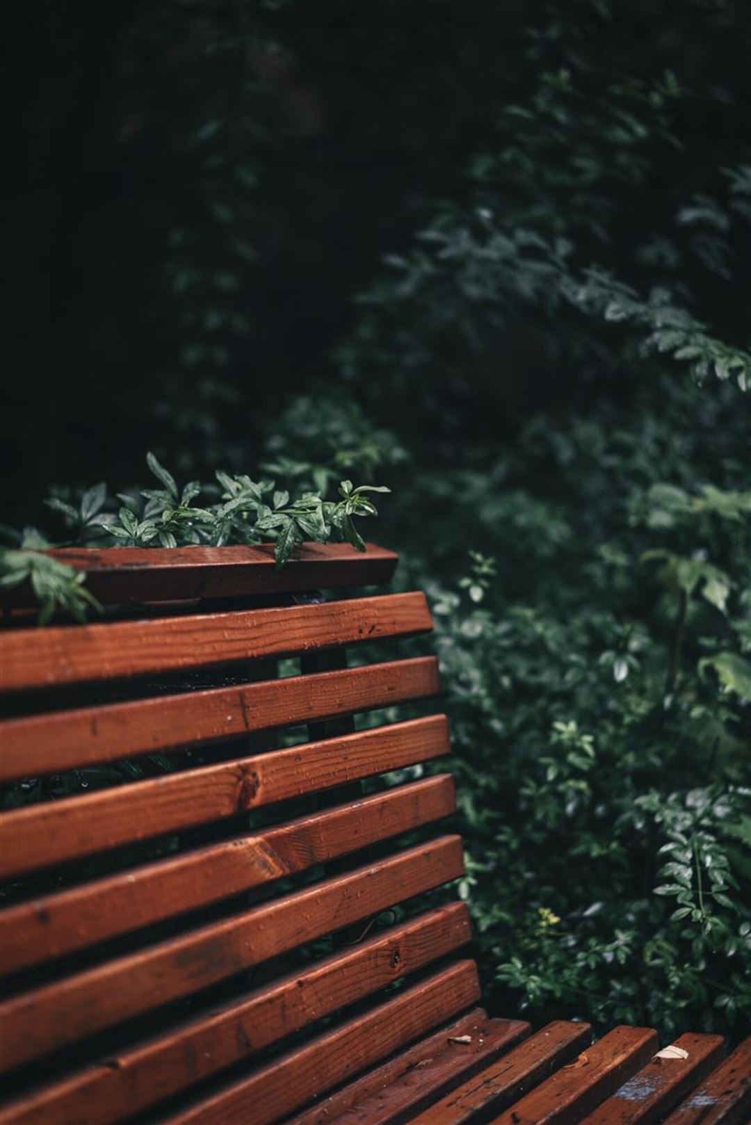 Afslør det skjulte: oplev verden i termisk syn med den præcise termiske spotter