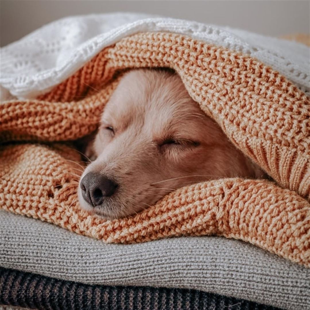 JOU QUILTS giver dig de produkter, du drømmer om