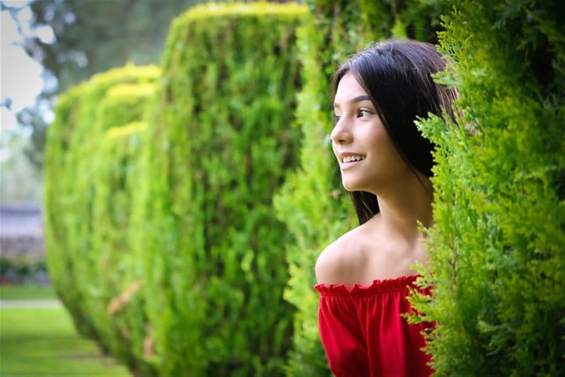 Sådan klipper du hækplanter