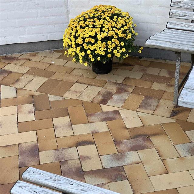 Belægningstegl: den hemmelige ingrediens til enestående udendørs arkitektur