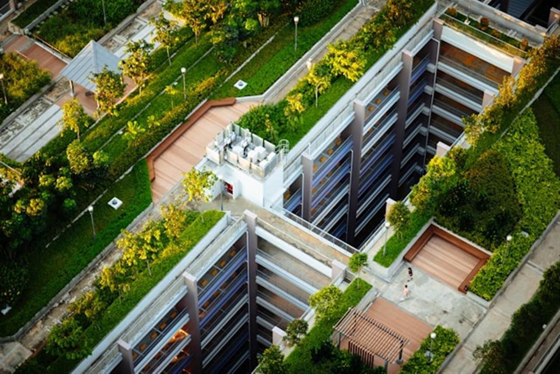 Skab et grønt taglandskab med et smukt sedumtag