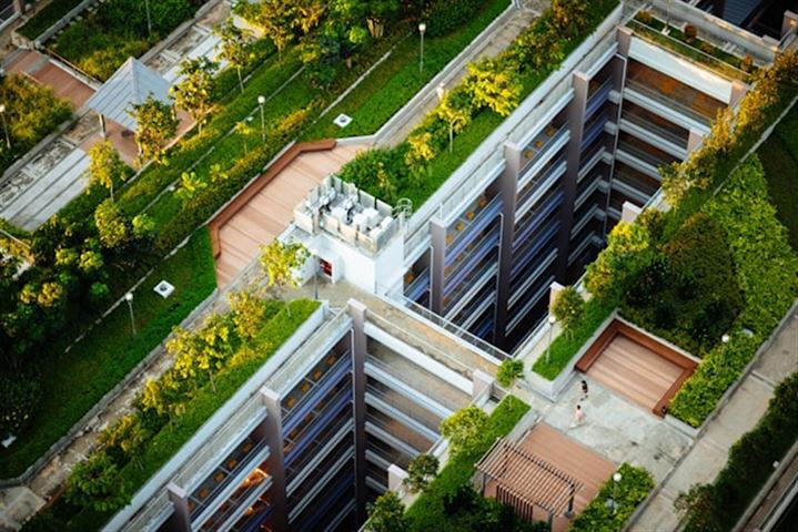 Skab et grønt taglandskab med et smukt sedumtag